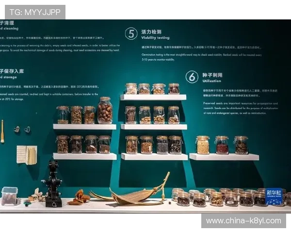 深入分析亚搏AG旗舰厅的安全性和可靠性 深入分析亚搏AG旗舰厅的安全性和可靠性