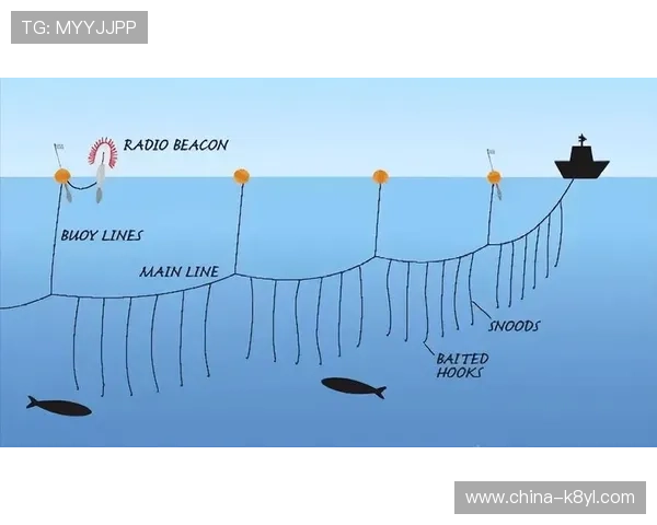 K8捕鱼技巧全面指南教你如何在游戏中精准捕捉稀有鱼种提升捕鱼技巧的实用经验分享 K8捕鱼技巧全面指南教你如何在游戏中精准捕捉稀有鱼种提升捕鱼技巧的实用经验分享